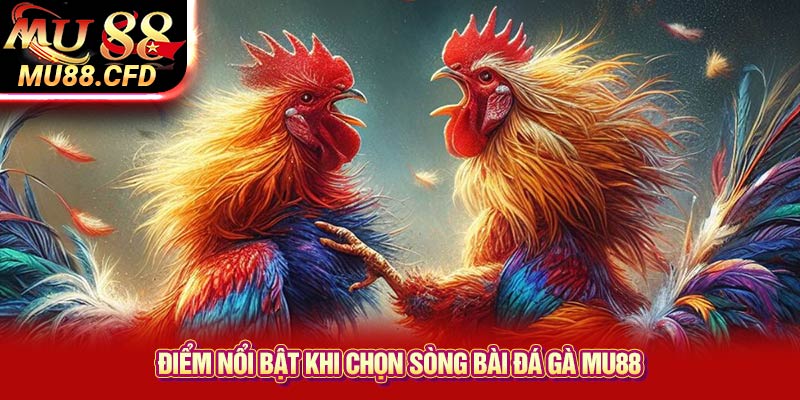 Điểm Nổi Bật Khi Chọn Sòng Bài Đá Gà Mu88 Điểm Nổi Bật Khi Chọn Sòng Bài Đá Gà Mu88