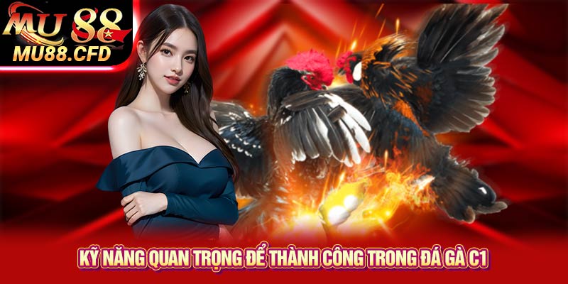 Kỹ Năng Quan Trọng Để Thành Công Trong Đá Gà C1 Kỹ Năng Quan Trọng Để Thành Công Trong Đá Gà C1