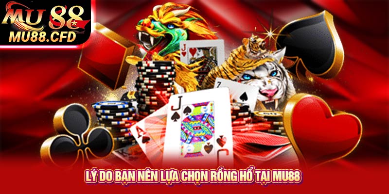 Lý do bạn nên lựa chọn Rồng Hổ tại Mu88 Lý do bạn nên lựa chọn Rồng Hổ tại Mu88