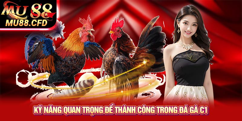 Lý Do Nên Thử Sức Với Đá Gà C1 Lý Do Nên Thử Sức Với Đá Gà C1