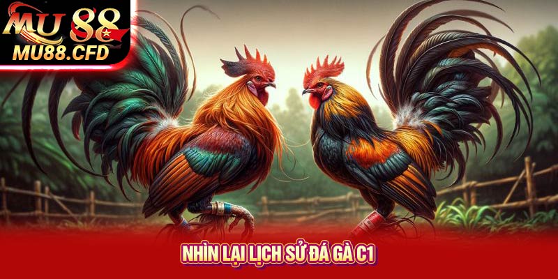 Nhìn Lại Lịch Sử Đá Gà C1 Nhìn Lại Lịch Sử Đá Gà C1
